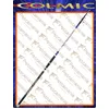 Image de COLMIC Meteora Beach 4,10 m 30   100 g