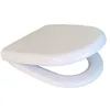 Image de Sedile wc termoind. mod. d345 forma 4 bianco soft-close