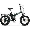 Image de Nilox Vélo électrique X8 Pro 13 Ah 36 V 70 km autonomie Pliable Vert LCD 250 W