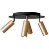Image de creative cables Leuchte mit 4 Strahlern, mit Tub-E14 Lampenschirmen und rundem XXL Rose-One Baldachin - sans Ampoule, Bronze satiné