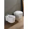 Image de Sanitaires suspendus Clean Flush Bucket