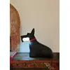 Image de SCOTTES LAMPE QEEBOON NOIR