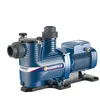 Image de Pedrollo Pompe De Filtration Piscine Magnifica 3 230/400 V - 1,1 KW - 24 M3/h