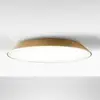 Image de Artemide Febe plafonnier LED tourterelle 3 000 K