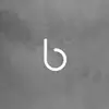 Image de Artemide Alphabet of Light applique minuscule b