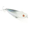 Image de SEASPIN Pro-Q 120 Flat Color CRBO - 120 mm   24 g - esca artificiale Walking The Dog per la Pesca in Mare