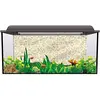 Image de ScottDecor Aquarium Backdrop Sticker Traditional, Antique Romance Bouquet Sea World Colorful L36 X H24 Pouce