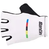 Image de Santini UCI World Champion 2025 Gants courts S