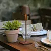 Image de Zafferano Poldina micro, brun rouille, IP65