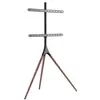 Image de MBG - TRIWOOD4270