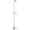Image de ALPINA Speiche Glatt, Ø 2,00mm, Edelstahl, mit Messing-Nippel, vernickelt Verpackungseinheit: 100 Stück (Mindestbestellmenge) Preis per 100 Stück, 170mm Lang