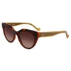 Image de Lunettes de Soleil LIU JO LJ782S 240 TORTOISE 53/18/140 Femme