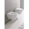 Image de Sanitaires suspendus Clean Flush Mini Moon