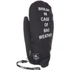 Image de Level Thermo Plus 4000 Mittens L