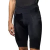 Image de Alé Cycling Short de Cyclisme Pragma Corsa pour Homme, Antracite, S