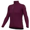 Image de Alé Pragma Fondo 3.0 Long Sleeve Jersey L