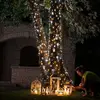 Image de Guirlande lumineuse Twinkly CCT noir 400-flamme 32m