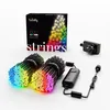 Image de Twinkly Strings 600 LED RGB+Blanc, Guirlande Lumineuse Exterieur et Intérieur, Lumières LED Multicolores, Compatible avec Alexa, Google Home, Guirlande Noël, IP44, Contrôle App, Fil Noir, 48m