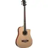 Image de EKO NXT B100CWE Natural basse électro-acoustique