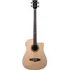 Image de NXT B100ce Dreadnought Natural
