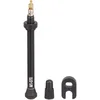Image de Fulcrum Unisexe - Adulte Valve Tubeless 07471683 Valve Tubeless Noir/Argent 70 mm