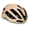Image de Kask Protone Icon WG11 Helmet L
