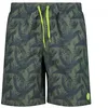 Image de Cmp 34r9087 Swimming Boxer 48