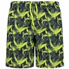 Image de Cmp 34r9087 Swimming Boxer 52