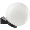 Image de GLOBE OPALE APPLIQUE DIAME'TRE 25 CM APGL25OP