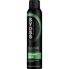 Image de ANTI-GREASY dry shampoo 200 ml