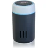 Image de GRE FDP250 - Diffuseur de Chlore Grand modèle Ø11cm - Graphite - pour Le Traitement Chimique des piscines. Désinfection et Nettoyage de l'eau de la Piscine. pour 3 tablettes de 250g