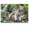 Image de Educa Tigres blancs du Bengale