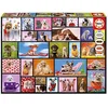 Image de Educa - Puzzle 1000 Pièces Moments Partagés Animaux
