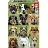 Image de Educa - Genuine Puzzles. Collage Chiens. Puzzle 500 pièces. Ref. 17963
