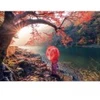 Image de Educa Sunrise in Katsura River, Japan