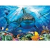Image de Educa Great White Shark