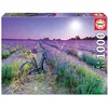Image de Educa - Puzzle de 1000 pièces pour Adultes | Vélo dans Le Champ de Lavande | Mesure approximative: 68 x 48 cm. À partir de 14 Ans (19255)