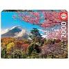 Image de Educa - Château d'Osaka Japon Puzzle 2000 Pièces Adulte | Illustration Architecture Voyage | 96 x 68 cm | Dès 14 Ans (19276)