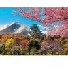 Image de Educa Château d'Osaka. Japon