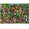 Image de Educa Jungle Des Tigres