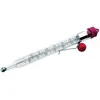 Image de Thermomètre à sucre