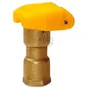 Image de Valve raccord rapide 3/4" femelle bronze