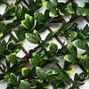 Image de Suinga - Treillis en osier extensible avec feuilles de laurier 1 x 2 mètres.