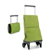 Image de Chariot de Course Rolser Plegamatic MF 2 Roues Pliante - Lima