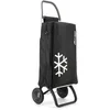Image de Chariot de Course Rolser Igloo Termo MF 2 Roues - Noir