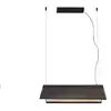 Image de FARO BARCELONA Suspension LED Ludovico Surface, 60 cm, noir