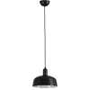 Image de Faro Barcelona 20339-120 - TATAWIN M Lampe suspension verre noire