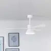 Image de FARO BARCELONA Ventilateur de plafond Amelia Cone lampe LED blanc