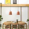 Image de FARO BARCELONA Suspension Studio, Ø 29 cm, rose/noir, acier