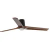 Image de HEYWOOD TUB L Ventilateur de plafond noir avec lumière 33839-1TW